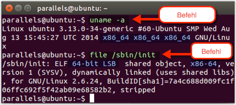 Ubuntu-64-oder-32-Bit-Terminal-Befehl