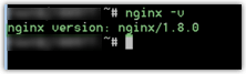 nginx -v Befehl und Ausgabe