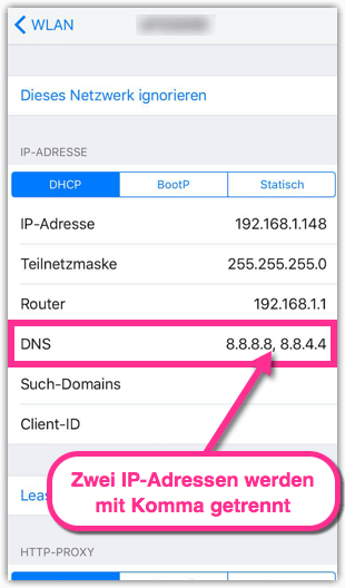 iPhone WLAN DNS ändern