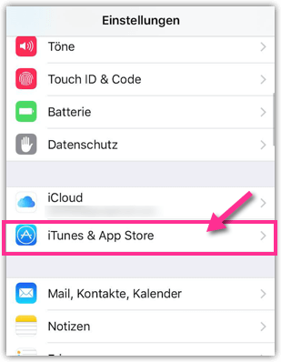 iPhone Einstellungen für iTunes und App Store