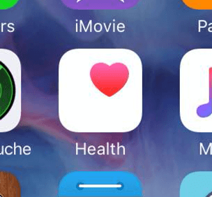 iPhone Health App